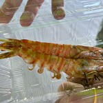 藍のあまくさ村 天草海家 - 料理写真: