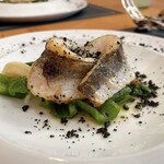 ソラアンナ - 【一皿目の前菜】
『相模湾産地カマス、イタリア産レモンソース』