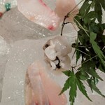 八方美人居酒屋 - 