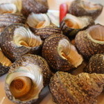 魚山人 - サザエのつぼ焼き、一人2個も♪嬉しい♪