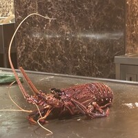 鉄板焼 天 六本木 -  鉄板焼 天 六本木 -