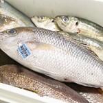 居酒屋 中々 - 魚の素材