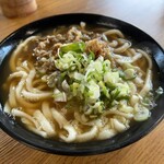 めぐみうどん - 料理写真: