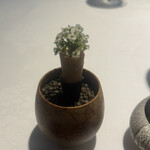 ラ・ヴァガボンド - 