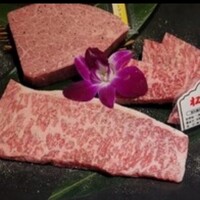 黒毛和牛焼肉きっしゃん 北新地店 - 
