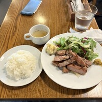 ブラチェリア バーヴァ - 