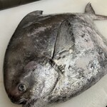 路地裏割烹 あまの - 料理写真: