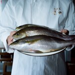 私房菜 吉田 - 日本最高峰の漁師”藤本純一”さんからの直送イサキ