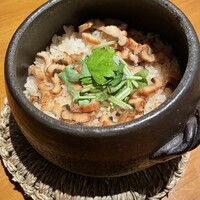KOiBUMi - 