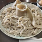 手打ち・つけ汁 うどん処 てる井 - うどんアップ