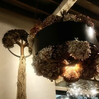 Botanico扇町公園 - 