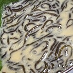 縄文そして長兵衛 - 