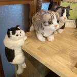 古民家キッチン もふもふ - カウンター席に並ぶ猫のぬいぐるみ