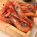 海鮮酒蔵 二三一 - 