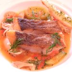 アルピーノ - 本日の魚料理（鯛のブイヤベース仕立て）