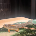 串揚げ料理 かわた - 