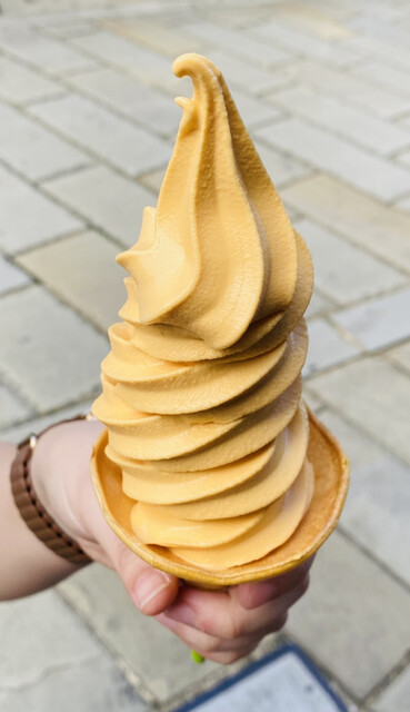 Mominoki Core/N photo 5