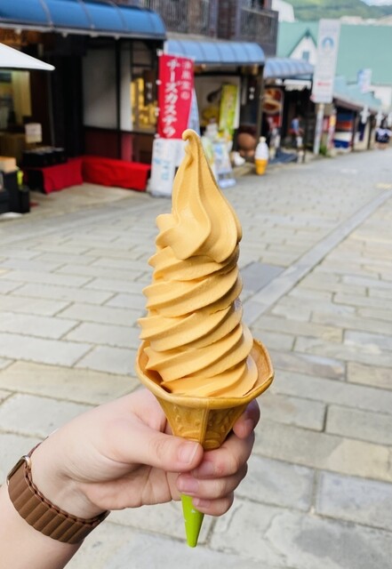 Mominoki Core/N photo 3