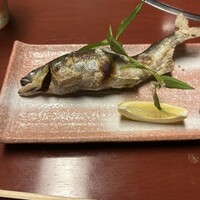 季節割烹 勝味 - 