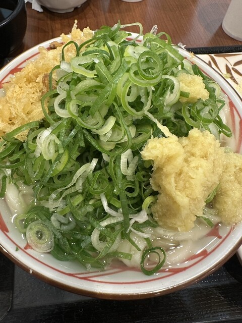 Marugame Seimen Meieki Sanrodo Ten photo 5