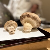 天七 - プレミアム椎茸と普通の椎茸