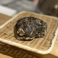 天七 - 岩牡蠣（追加）