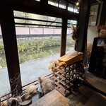 苑 - カウンターからの景色