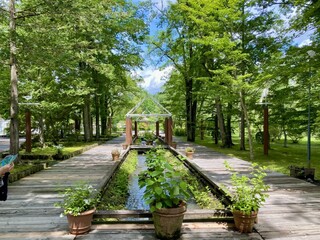 Karuizawa Burger Company