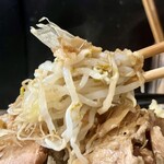 ラーメン専門 宮の森 - ヤサイ