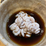 酒場しゃきっと - 