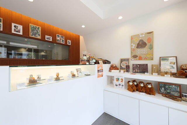 ORANG-ORANG cacao Hon Ten photo 4