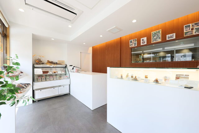 ORANG-ORANG cacao Hon Ten photo 5