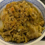 吉野家 - 料理写真:牛丼（並）＋玉子　¥498＋¥118