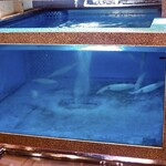 大漁活魚・ほうらい茶屋 - 料理写真: