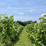 カフェシゼン - 