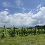 カフェシゼン - 