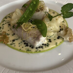 ドミニク・ブシェ トーキョー - 