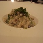 サーラ アマービレ - 