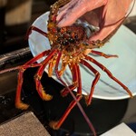 すっぽん ふぐ 日本料理 新宿あぐら屋 - 