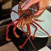 すっぽん ふぐ 日本料理 新宿あぐら屋 - 