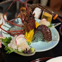 すっぽん ふぐ 日本料理 新宿あぐら屋 - 