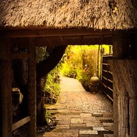 九つ井 本店 -  九つ井 本店 -