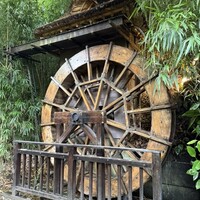 九つ井 本店 -  九つ井 本店 -