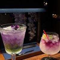 渋谷 Blue bird - 