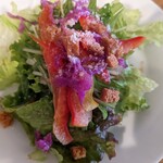 ヴィーノエラーボ - 