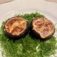 ザンビ - 