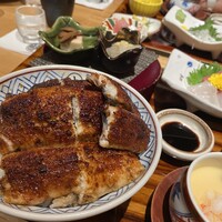 炭焼 うな富士 有楽町店 - 上うなぎ丼御膳