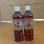 ディオ - 烏龍茶500ml (税抜)37円×2 (2025.07.01)