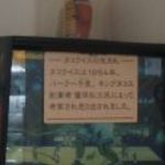 キングタコス - 