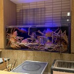 湘南沖地蟹専門店ふじ月 - 